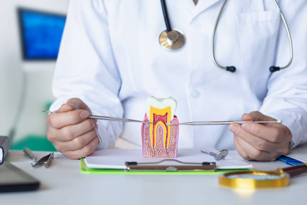 Best Emergency Dental Care for Broken or Chipped Teeth in Beecher, MI